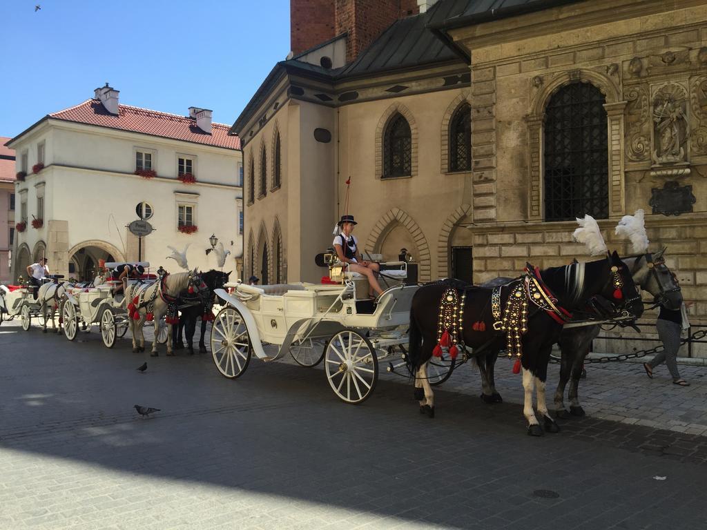Krakow Apartments - Friedleina Studio Apartments 部屋 写真